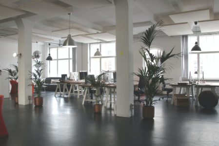 Ako zlepšiť pracovné prostredie – vytvorte zelený office